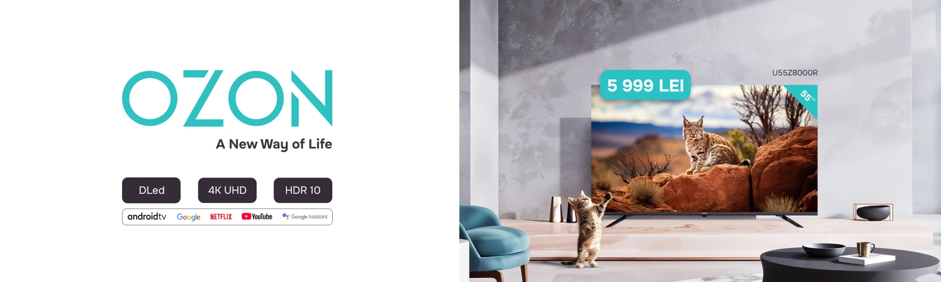 OZON TV