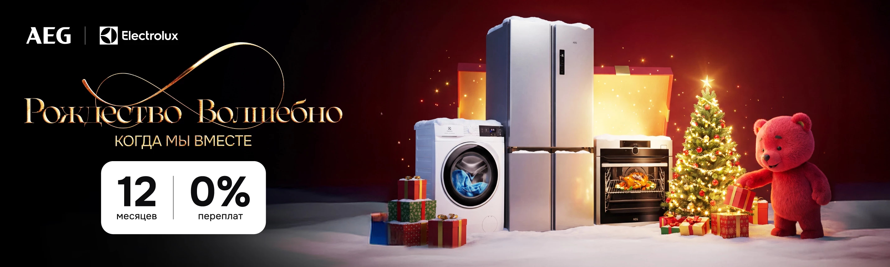 AEG и ELECTROLUX в рассрочку на 12 месяцев под 0%