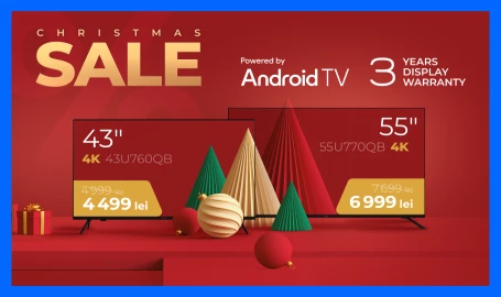 Christmas Sale KIVI