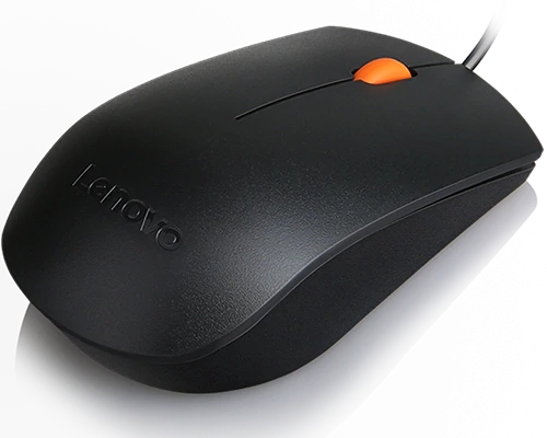 Lenovo 300 USB Mouse - WW
