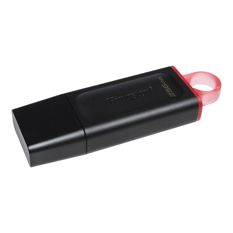 256GB  USB3.2 Flash Drive Kingston DataTraveler Exodia 256GB  USB3.2