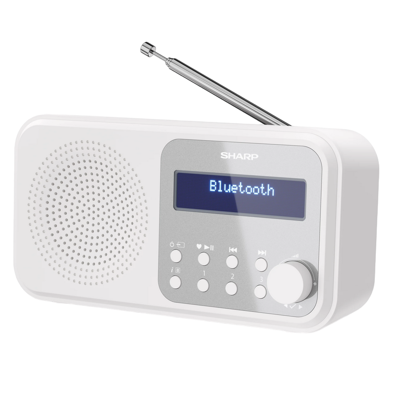 Sharp DR-P420WHV01, Portable Digital Radio