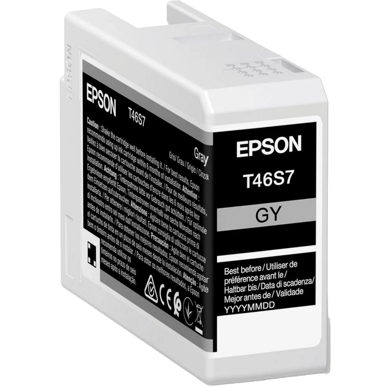 Картридж чернильный Epson T46S UltraChrome Pro 10, C13T46S700, Серый
