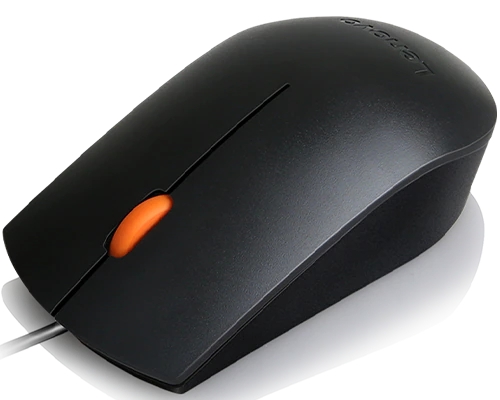 Lenovo 300 USB Mouse - WW