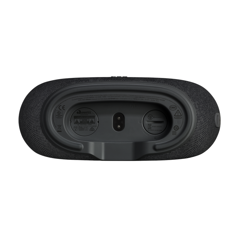 Bluetooth-динамик JBL Horizon 3 Черный