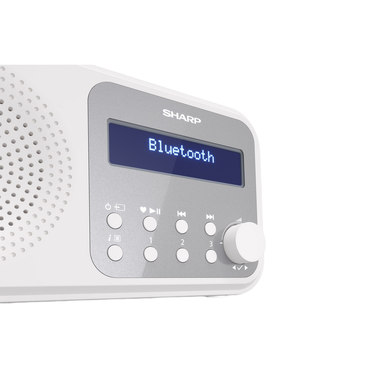 Sharp DR-P420WHV01, Portable Digital Radio