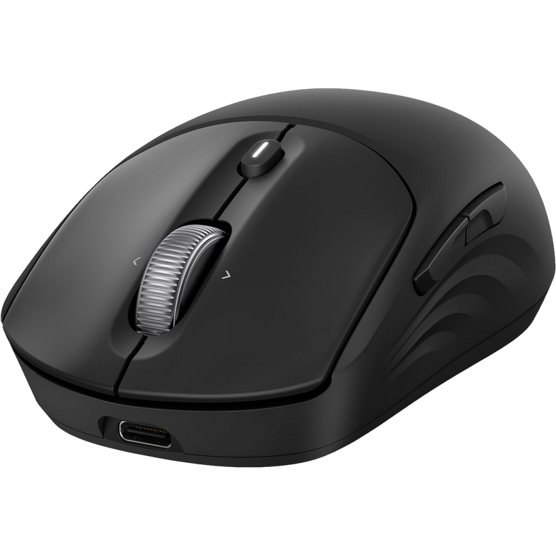 Mouse HP 700 Cu fir / Fără fir Negru