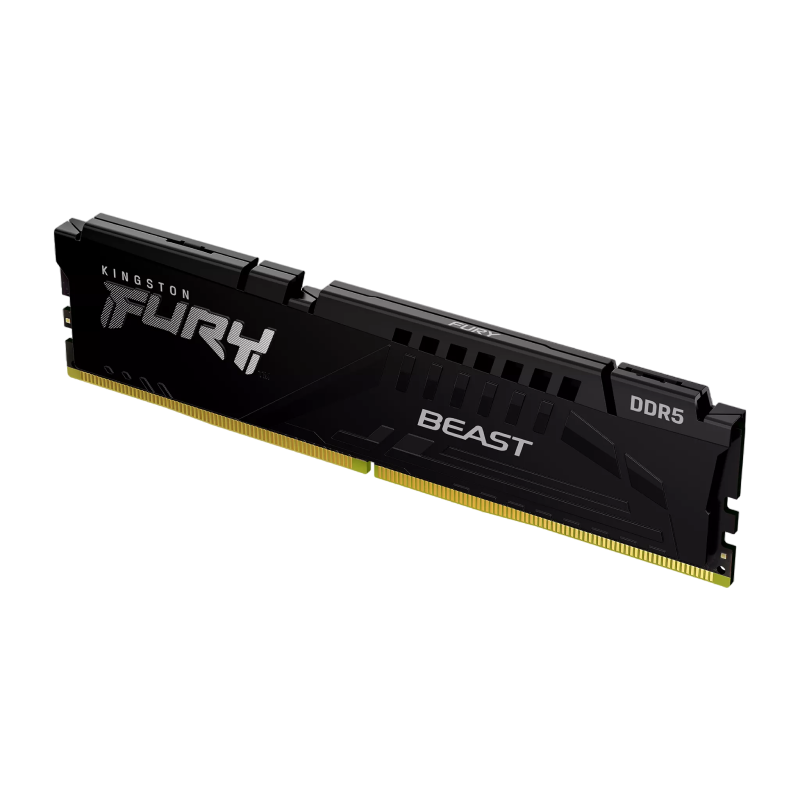 Memorie RAM Kingston FURY Beast, DDR5 SDRAM, 6000 MHz, 16GB, KF560C30BBK2-16