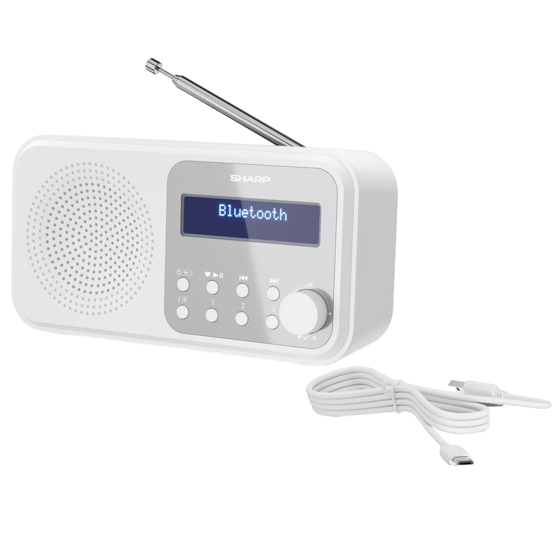 Sharp  DR-P420WHV01, Portable Digital Radio