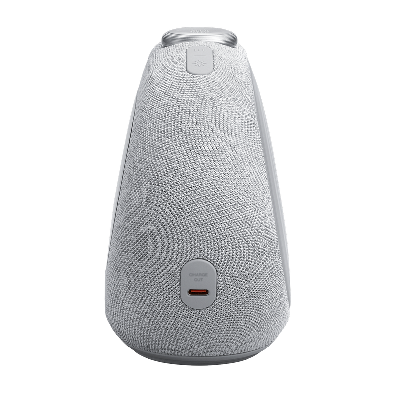 Bluetooth-динамик JBL Horizon 3 Серый