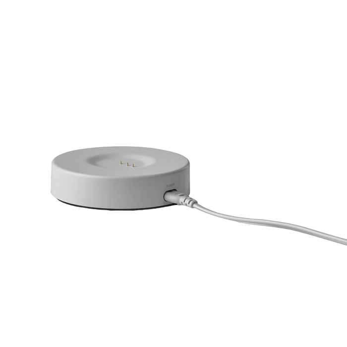 Harman Kardon Citation 200, Grey, Smart Home Speaker