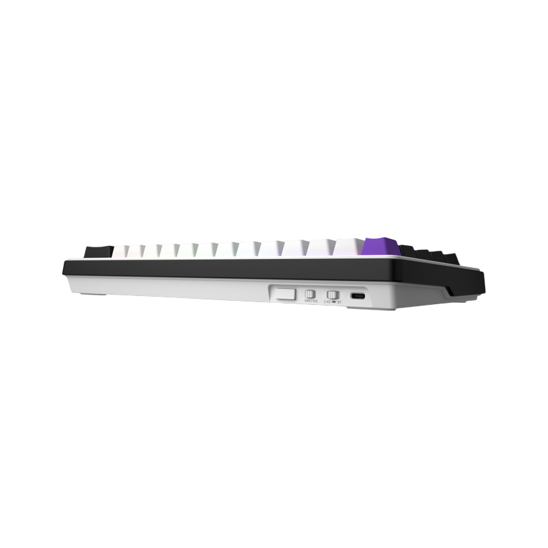 HATOR HELLYBerry HK60 Wireless White-Violet