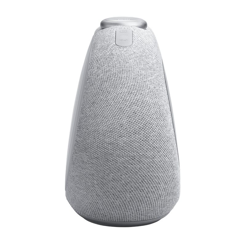 Bluetooth-динамик JBL Horizon 3 Серый