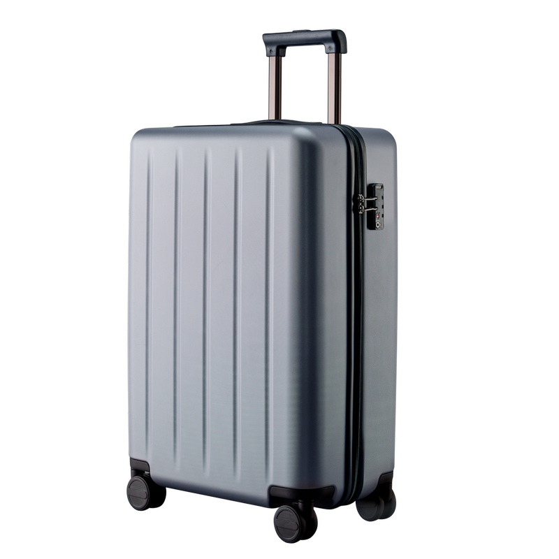 Valiză NINETYGO Danube luggage 24", 62L, Grey