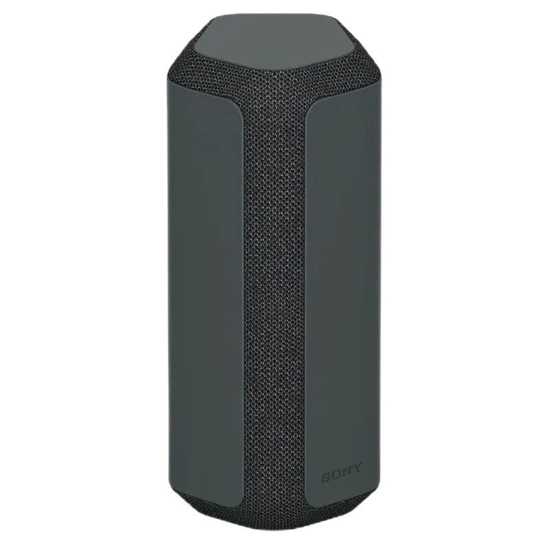 Boxă portabilă SONY SRS-XE300, Negru - photo