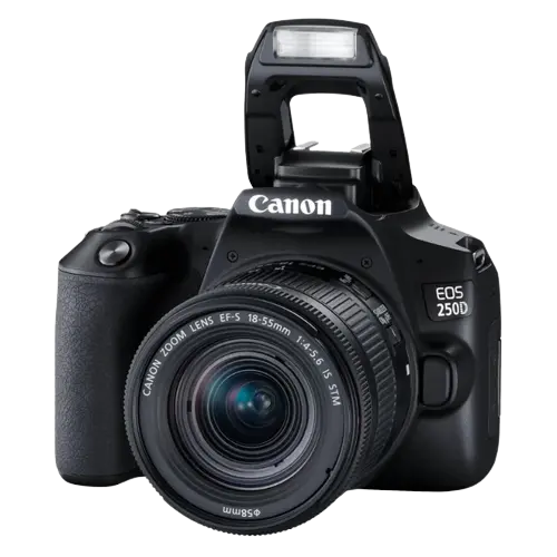 Aparat foto DSLR Canon EOS 250D + EF-S 18-55 DC III, Negru - photo