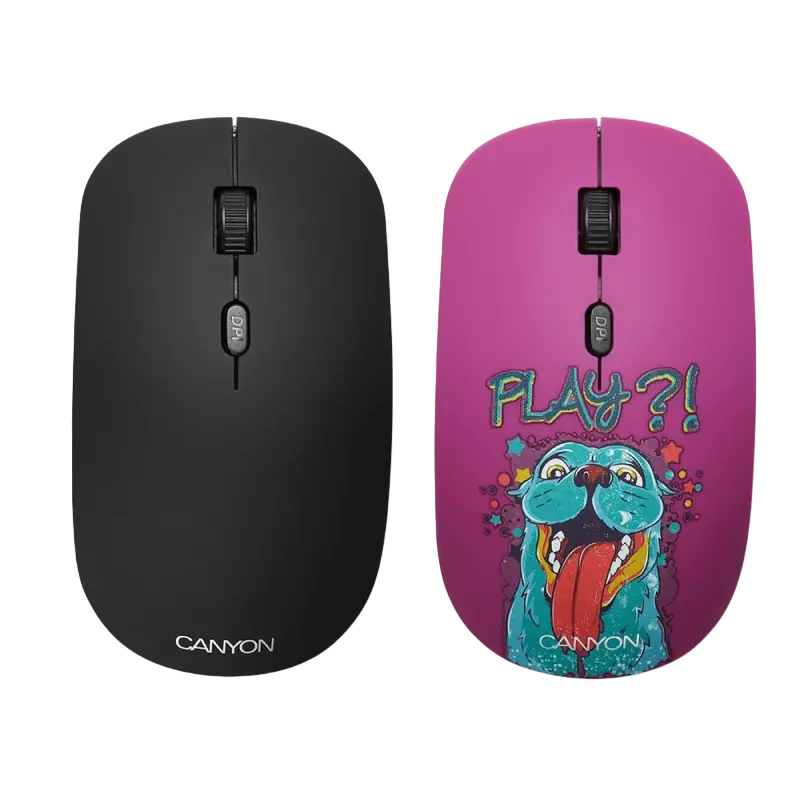 Mouse Wireless Canyon CND-CMSW400PL, Multicolor - photo