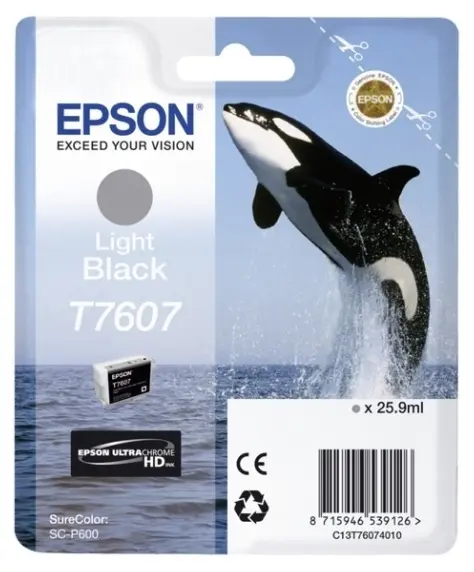 Картридж чернильный Epson T760, 26мл, Светло-Черный - photo