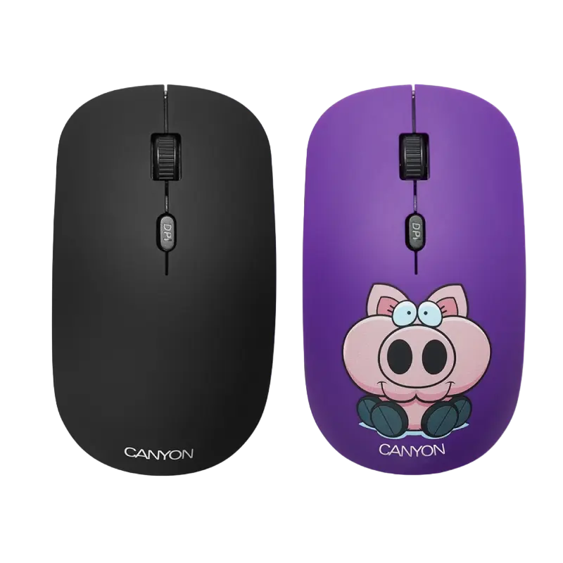 Mouse Wireless Canyon CND-CMSW401PB, Multicolor - photo