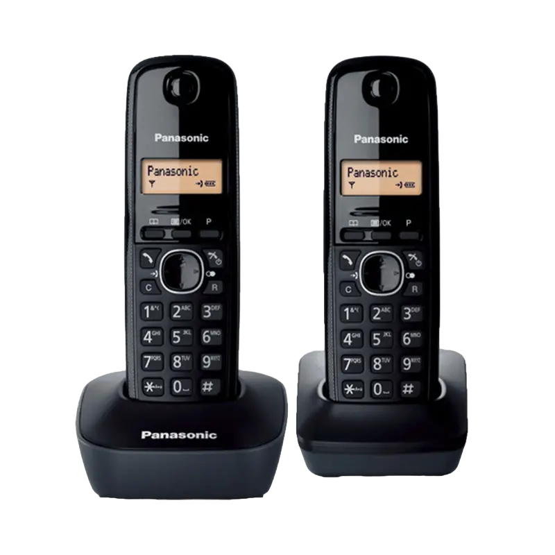 Telefon DECT Panasonic KX-TG1612, Gri - photo
