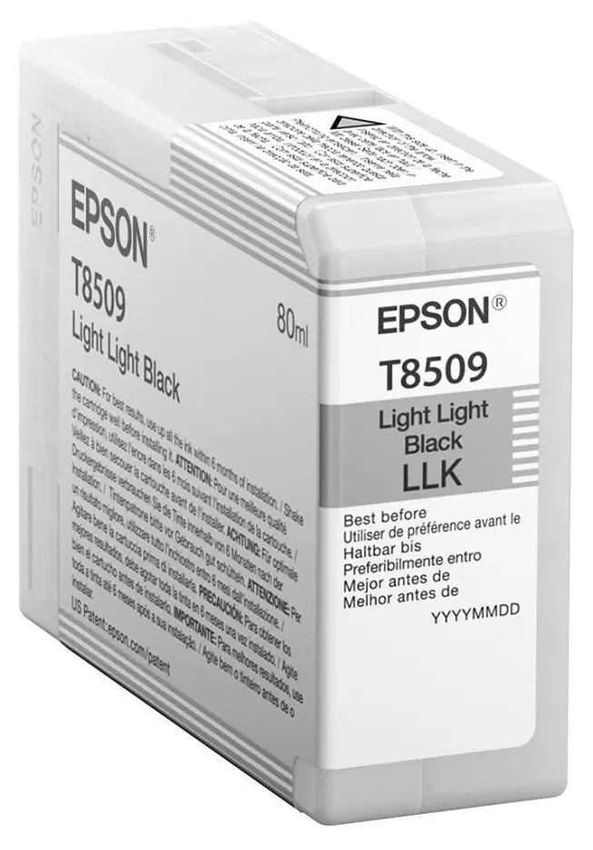 Cartuș de cerneală Epson T850 UltraChrome HD, 80ml, Negru deschis  - photo