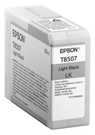 Cartuș de cerneală Epson T850 UltraChrome HD, 80ml, Negru Deschis - photo
