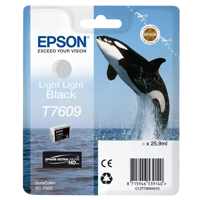 Cartuș de cerneală Epson T760, 26ml, Negru Deschis - photo