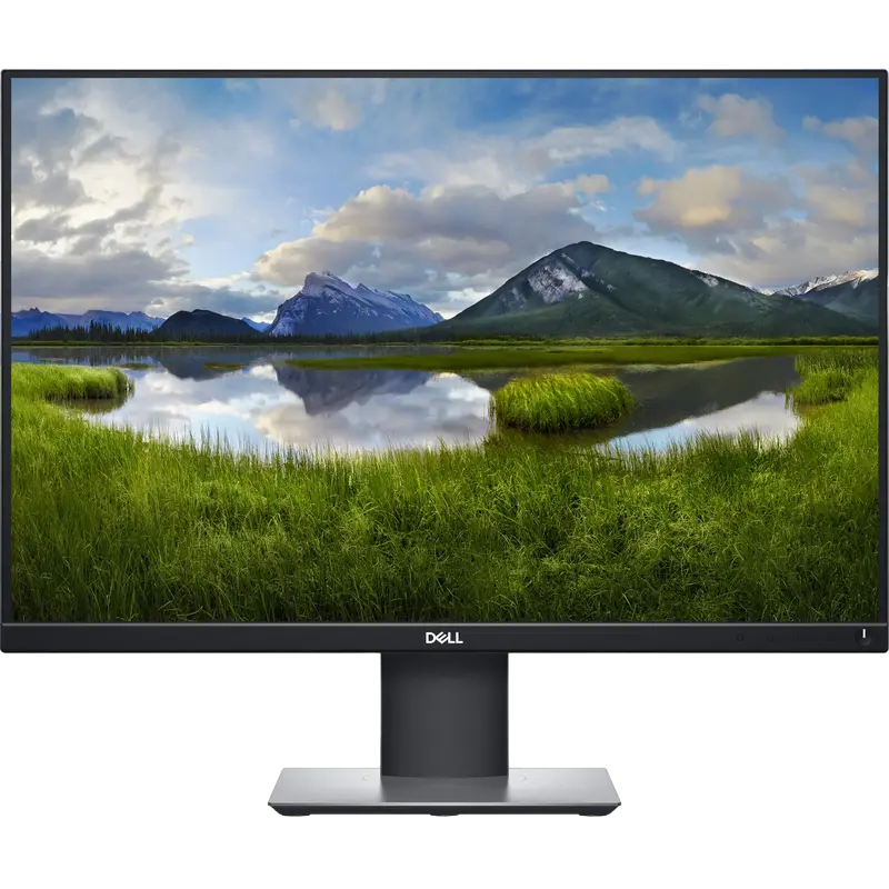 24,1" Монитор DELL P2421, IPS 1920x1200 WUXGA, Чёрный - photo