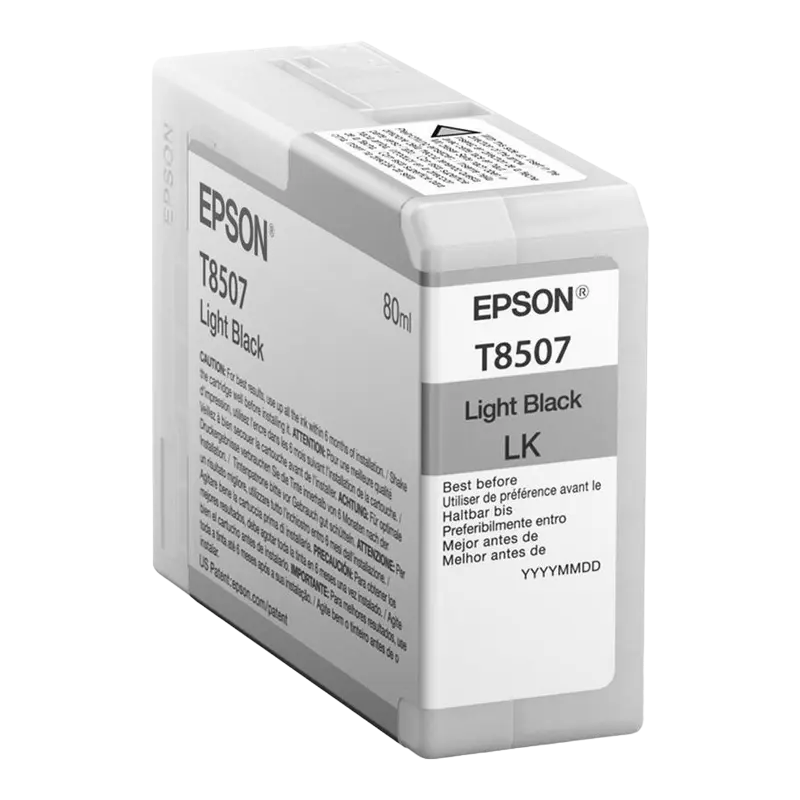 Cartuș de cerneală Epson T850 UltraChrome HD, 80ml, Negru Deschis - photo