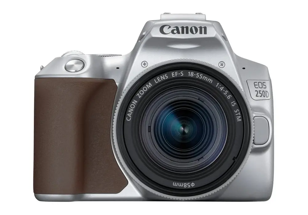 Aparat foto DSLR Canon EOS 250D + EF-S 18-55 IS, Argintiu - photo