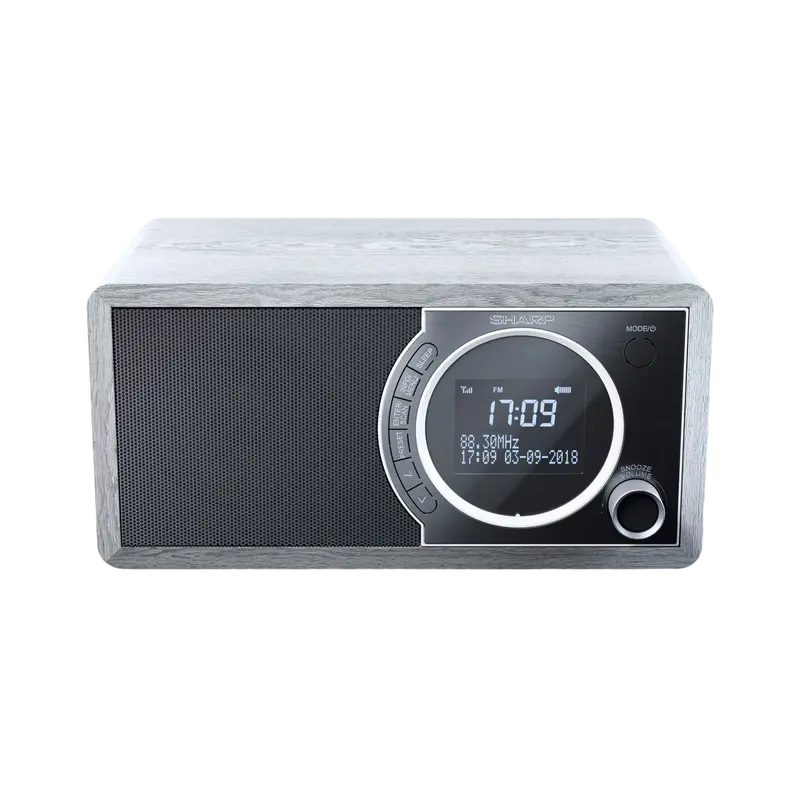Radio portabil Sharp DR-450GRV02, Grey - photo