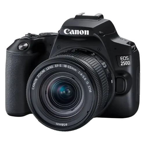 Aparat foto DSLR Canon EOS 250D & EF-S 18-55mm f/3.5-5.6 DC III KIT - photo