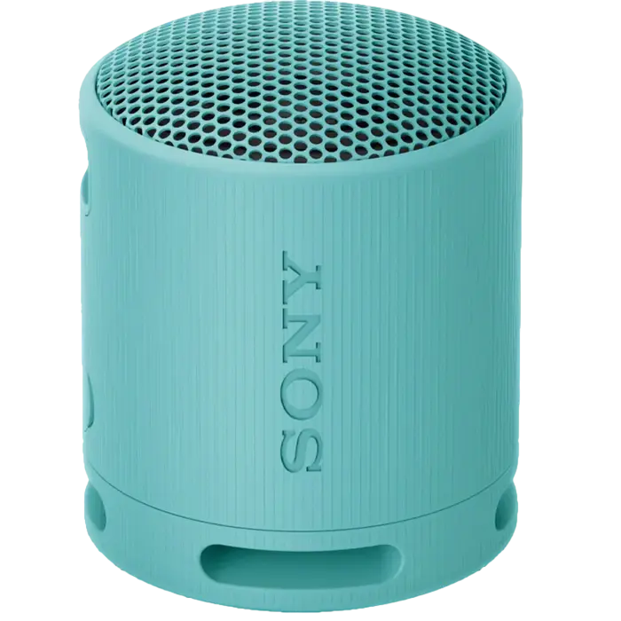 Boxă portabilă SONY XB100, Gri deschis - photo