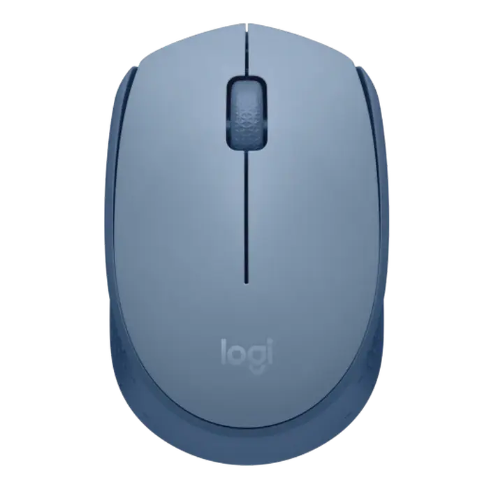 Мышь Logitech M171, Синий | Серый - photo