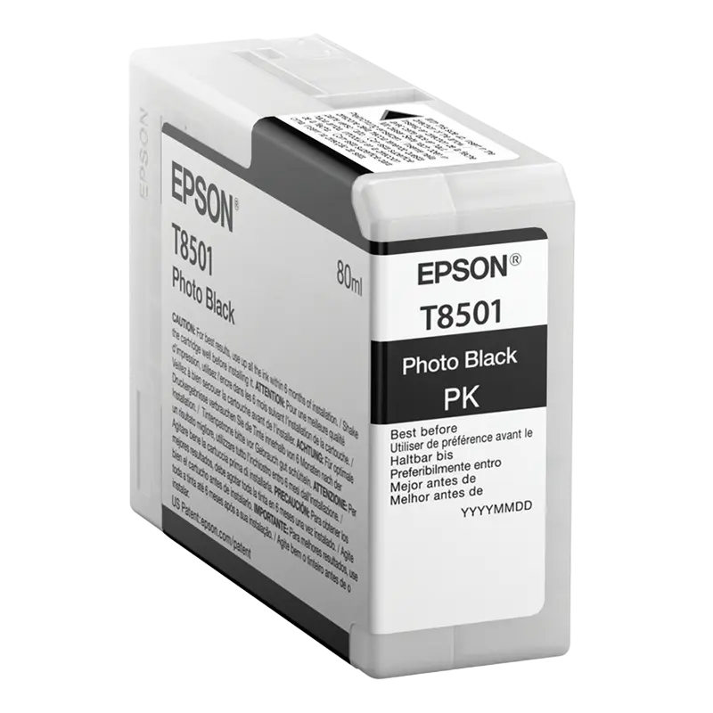 Cartuș de cerneală Epson T850 UltraChrome HD, 80ml, Negru foto - photo