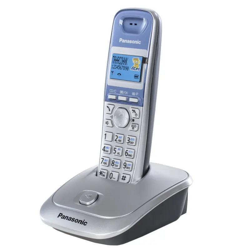 Telefon fără fir Panasonic KX-TG2511, Argintiu